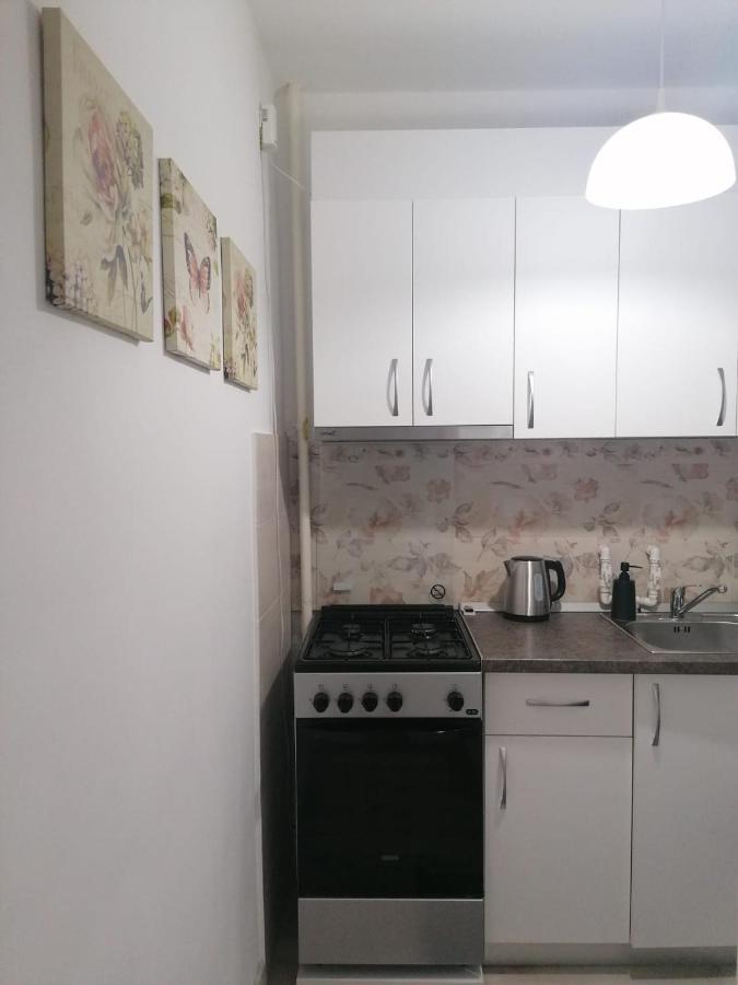 בוקרשט Laroka House Cosy And Modern Apartment Universitate-City Centre מראה חיצוני תמונה